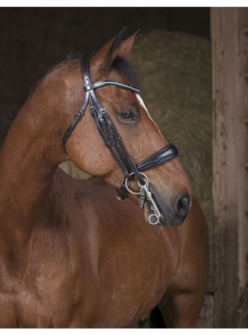 Cabezada Norton Pro Negro