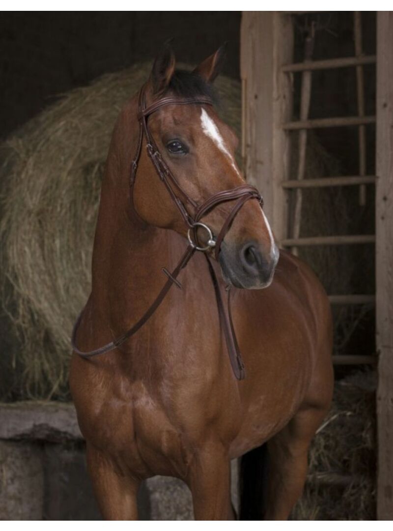 Riendas de Goma Norton Pro Havana