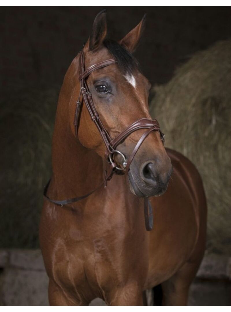 Riendas Lona Norton Pro Havana