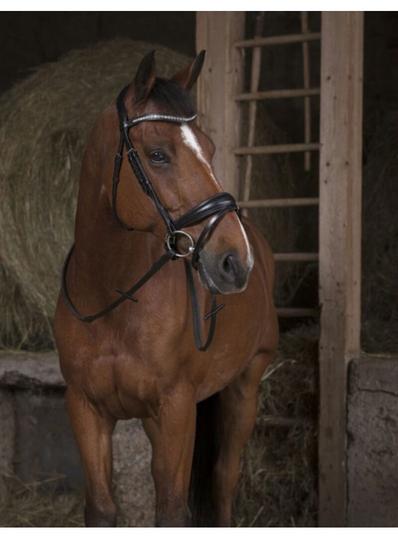 Riendas Lona Norton Pro Negro