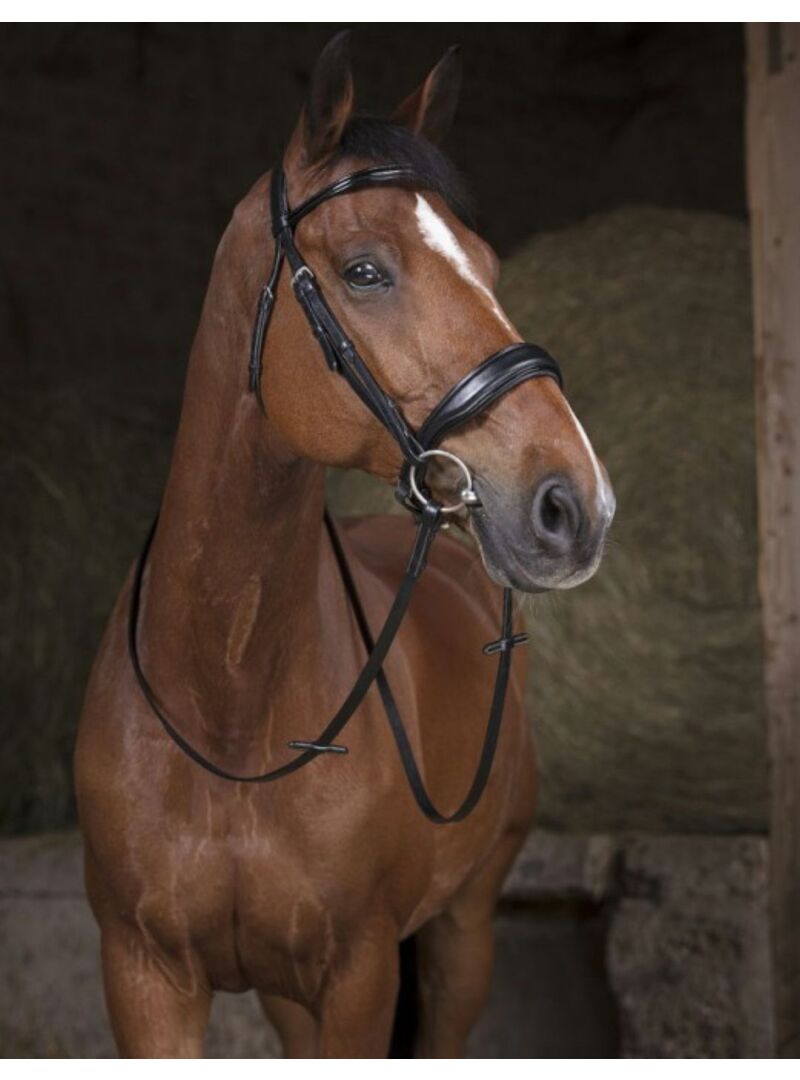 Riendas Norton Pro 16 MM Negro