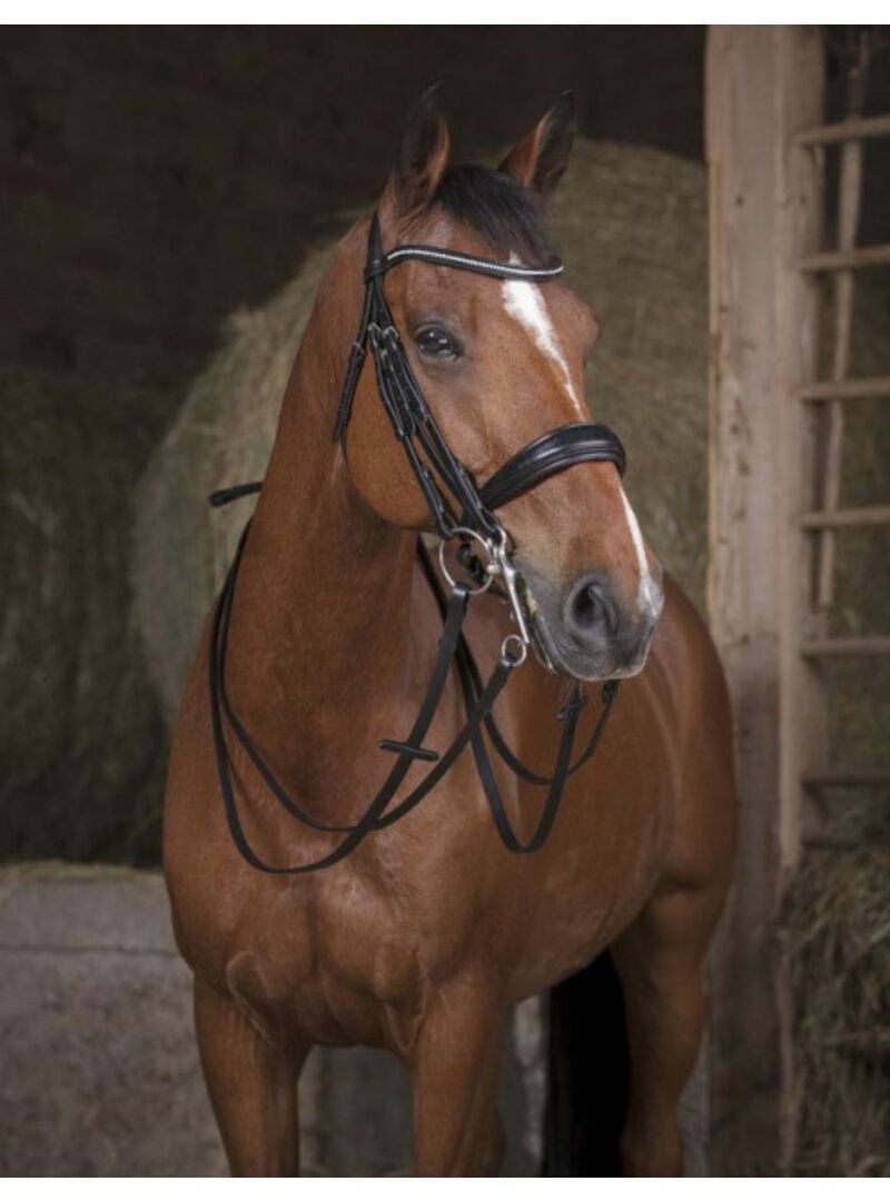 Riendas de Cabezada Norton Pro 13 MM Negro