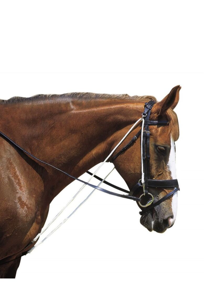 Chambón Norton Club con Norton Poleas Negro