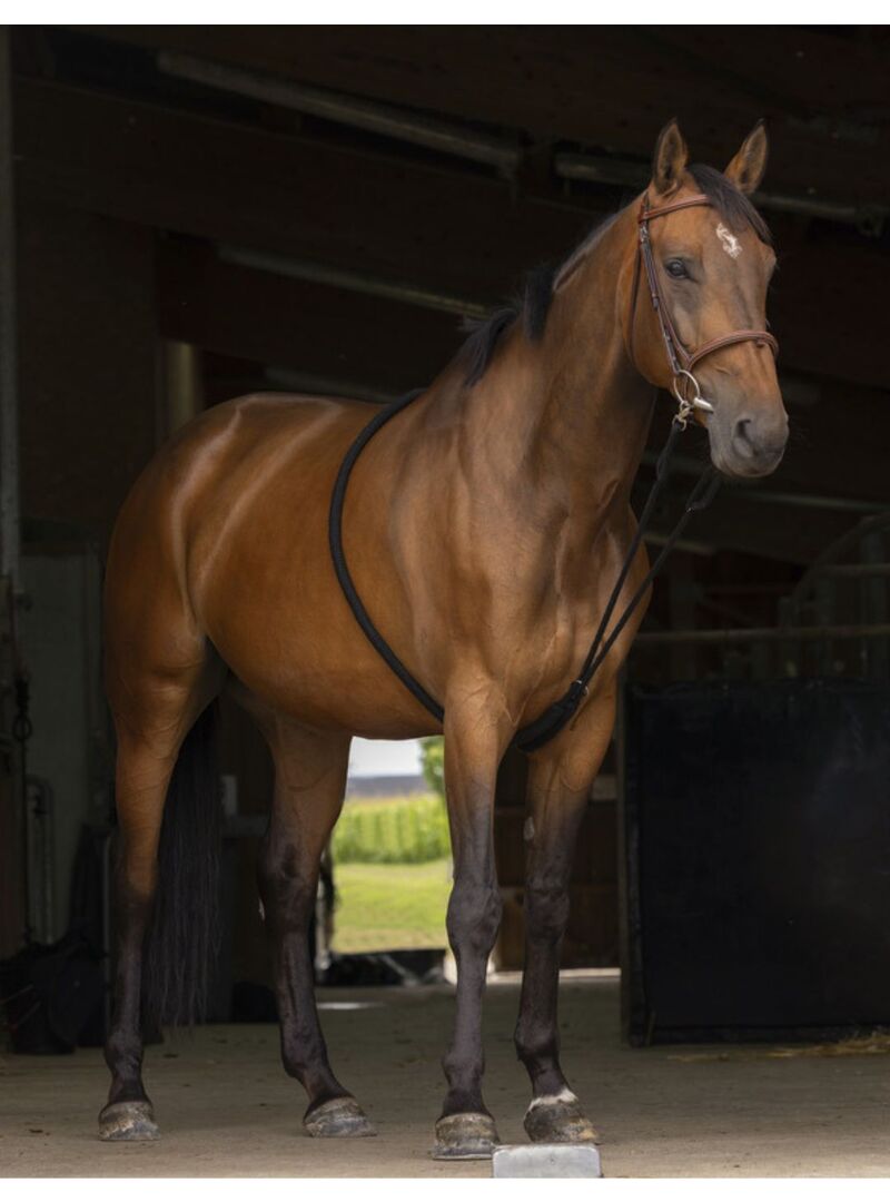 Sistema Norton Extensor Suave Negro