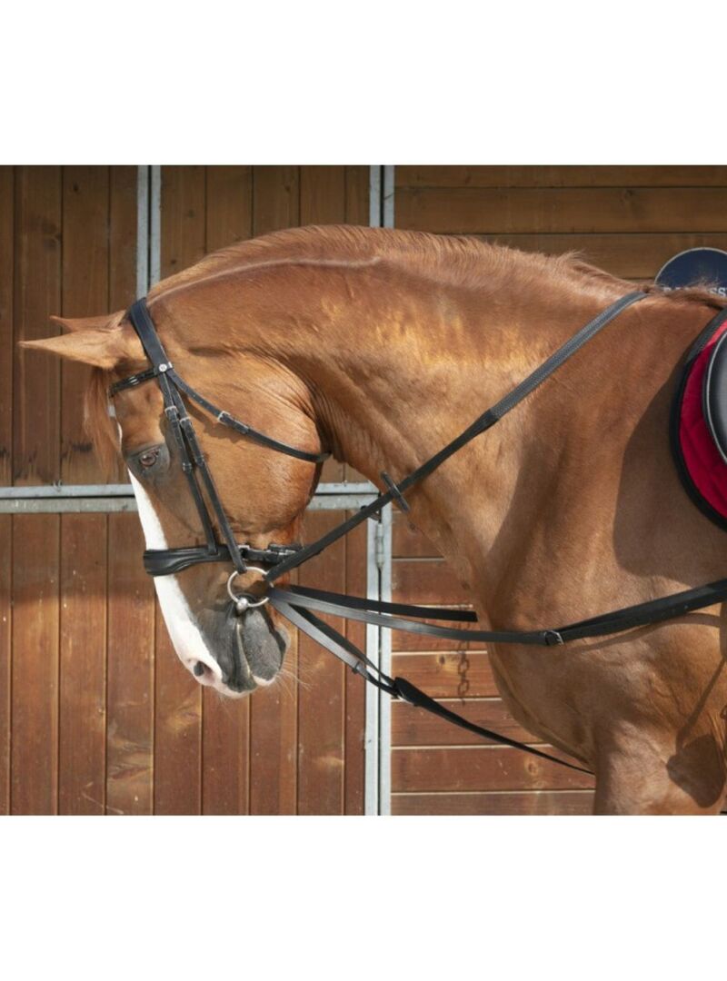 Riendas Vienesas Norton Club Negro