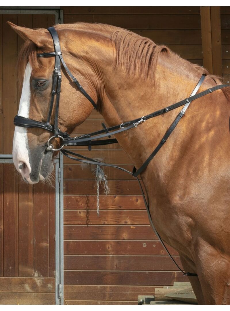 Chambón Norton Pro Thiedeman Negro