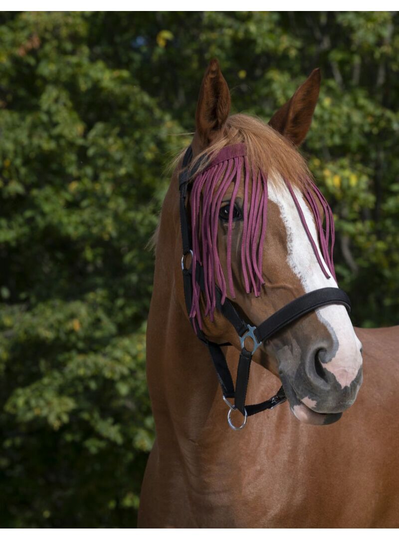 Frontalera Mosquero Norton Burdeos