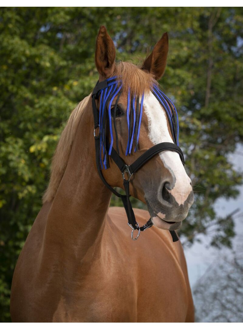 Frontalera Mosquero Norton Azulón/Negro