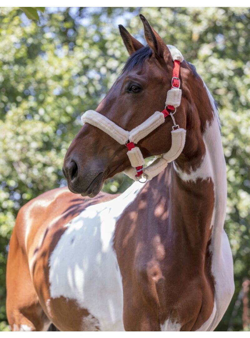 Cabezada Norton “Full Mounton Synthétique” Rojo/Beige