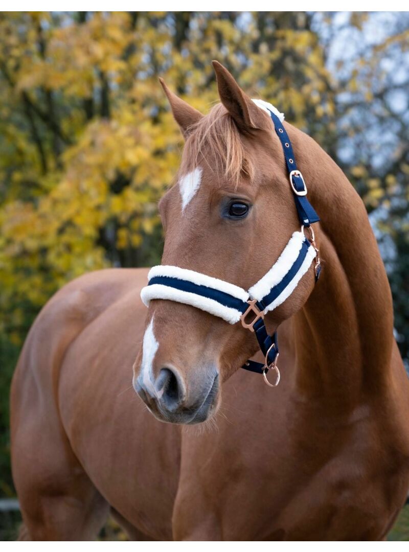 Cabezada de Cuadra Norton “Confort” Marino/Oro Rosa