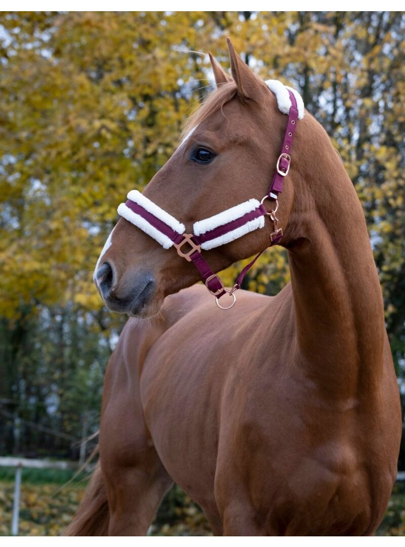 Cabezada de Cuadra Norton “Confort” Burdeos/Oro Rosa