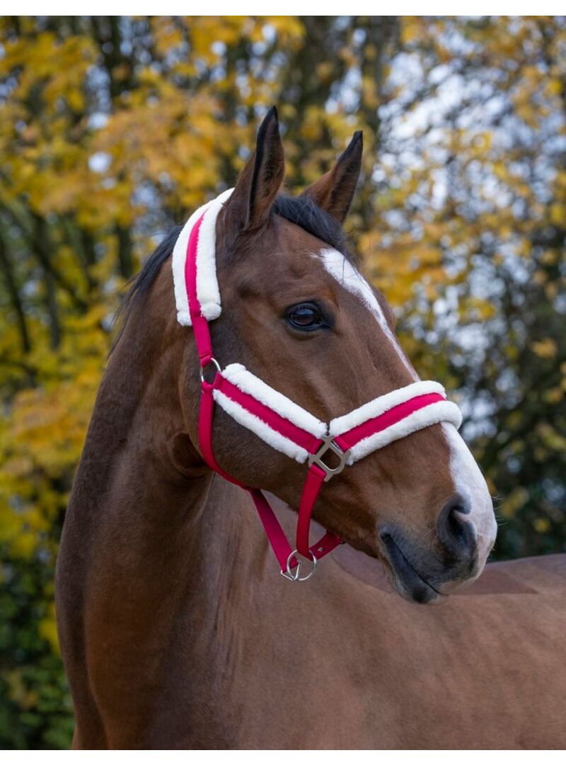 Cabezada de Cuadra Norton “Confort” Frambuesa/Plateado