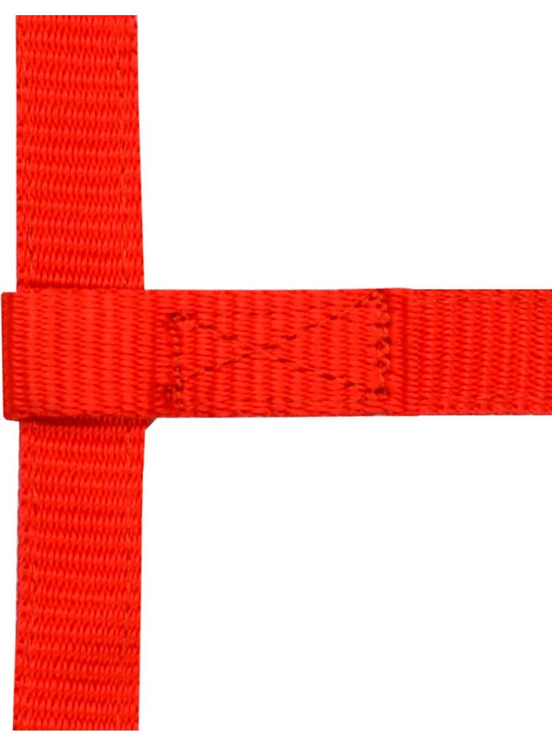 Cabezada Ajustable Norton “Mini” Negro