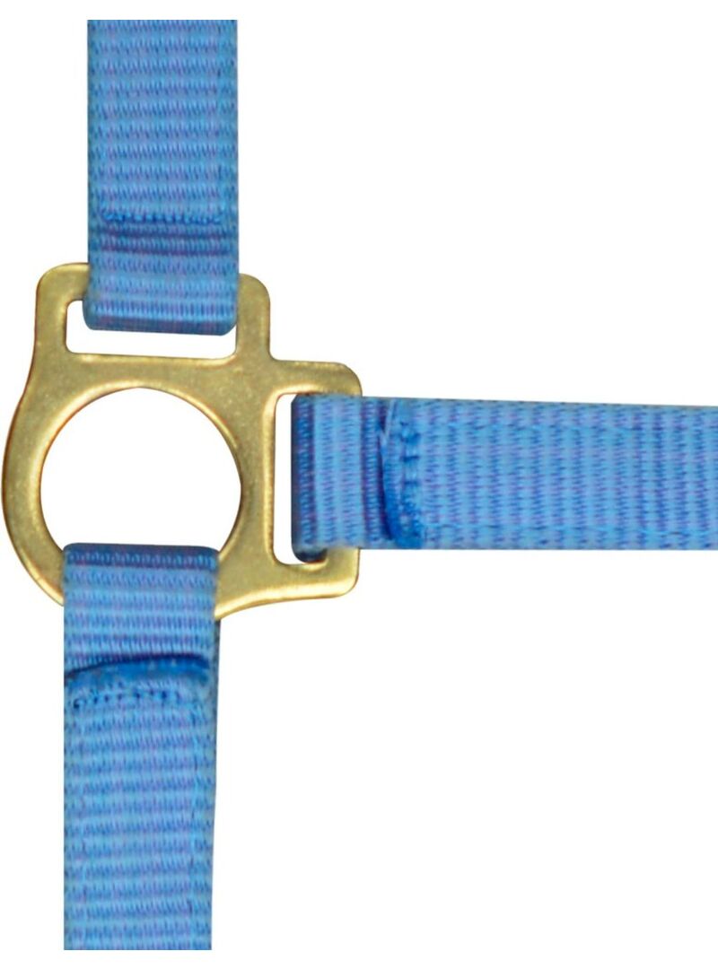 Cabezada para Potro Norton + Ramal Azul Celeste