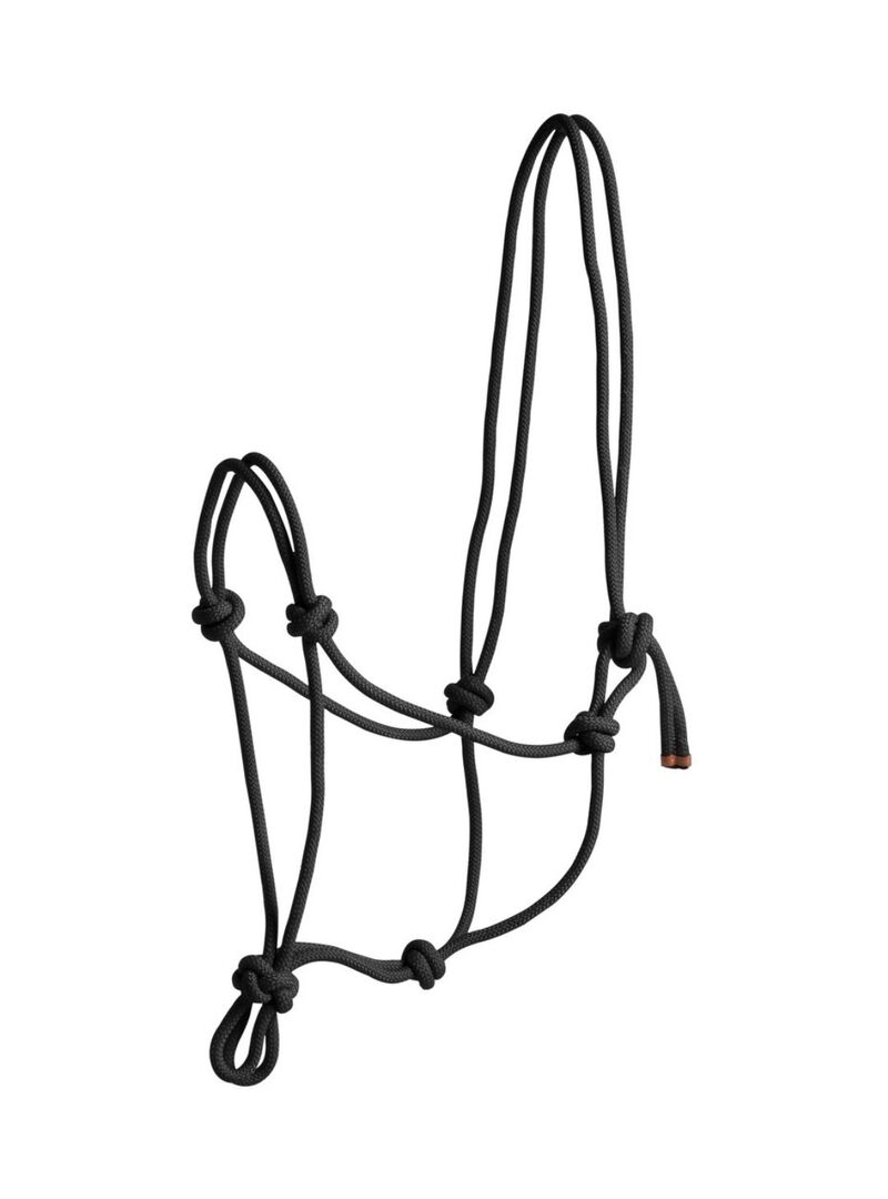 Cabezada de Cuerda Norton “ First”  Beige