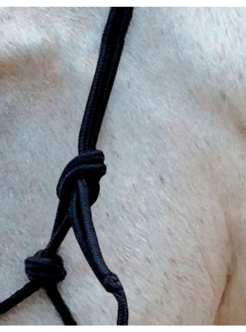 Cabezada Natural Norton con Riendas Negro