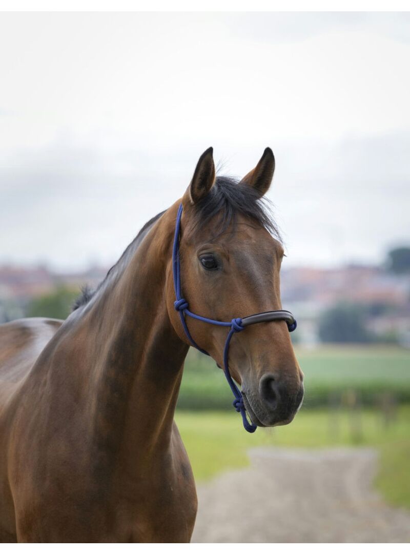 Cabezada Etológica Norton “Corde/Synthétique” Rojo