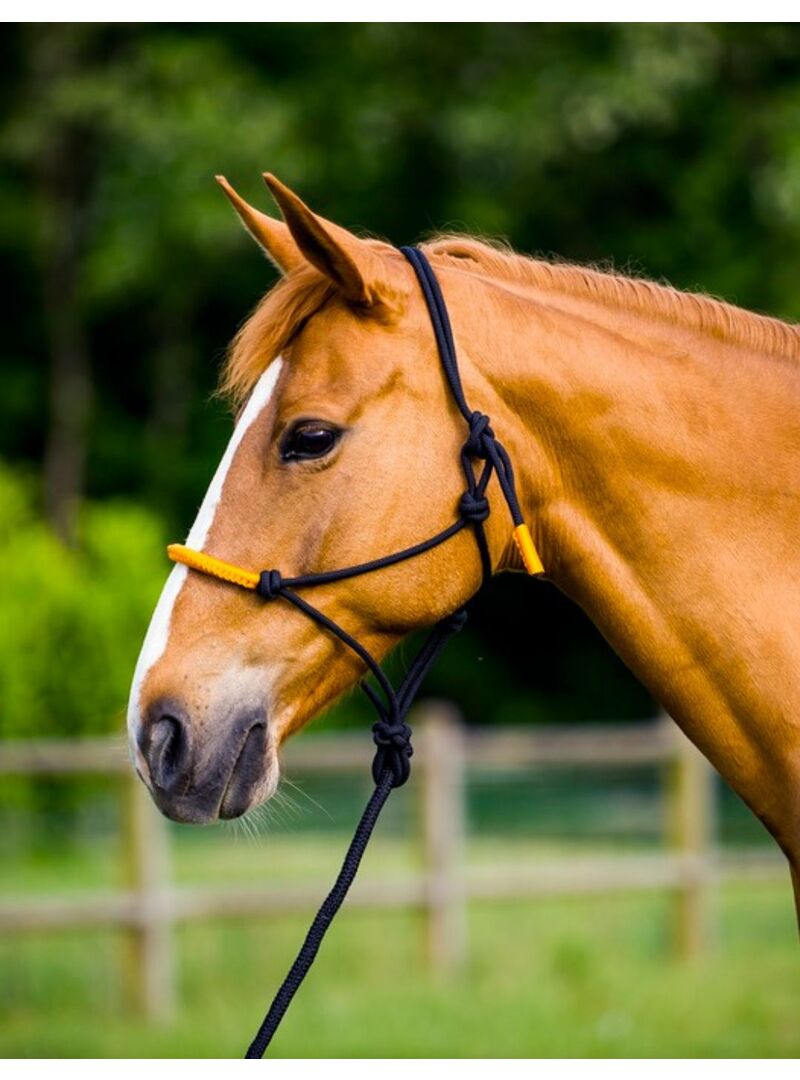 Cabezada de Doma Natural + Ramal Norton “Fun Colour” Negro/Verde Neón