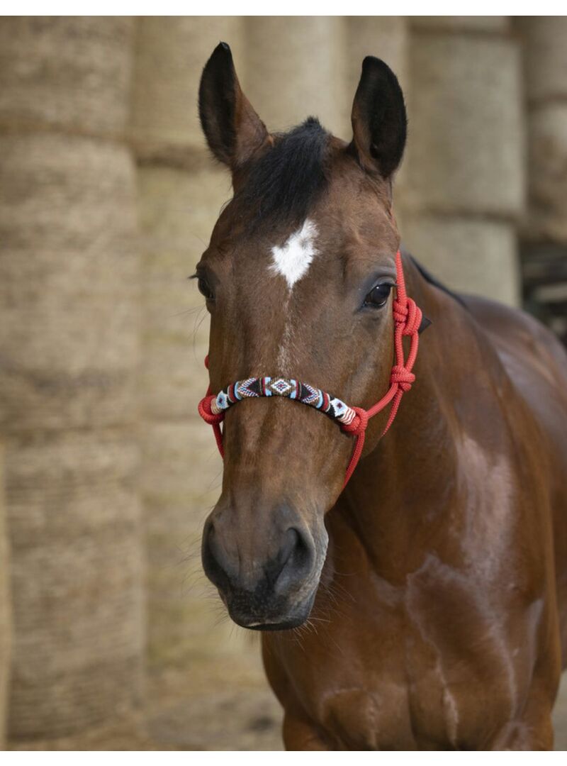 Cabezada Etológica Norton “Pearl” Negro