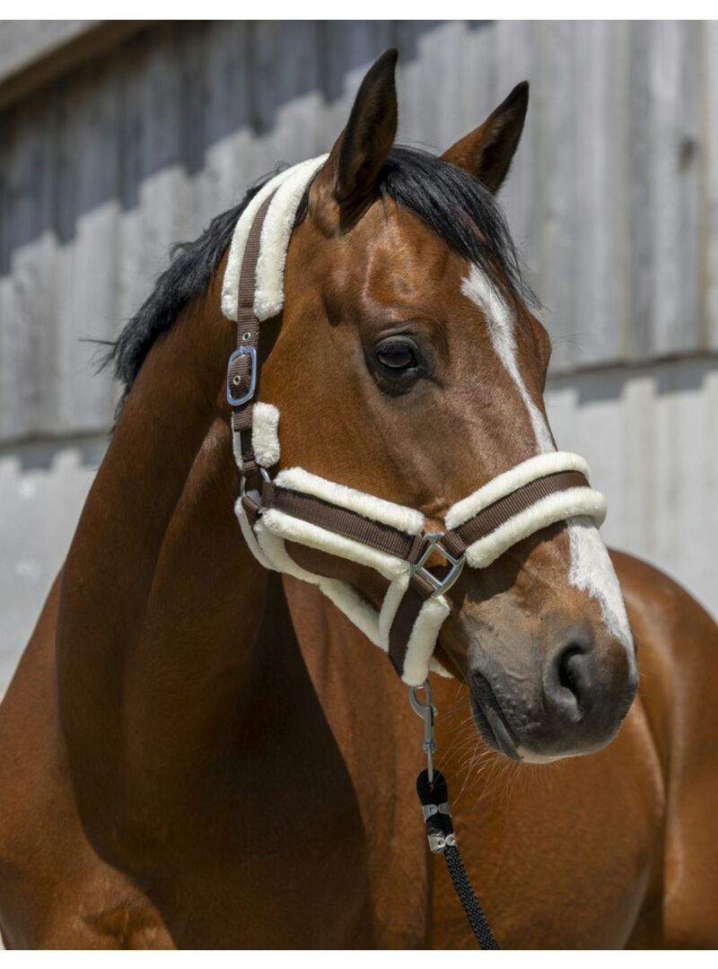 Cabezada de Cuadra Norton “Cosy” Negro