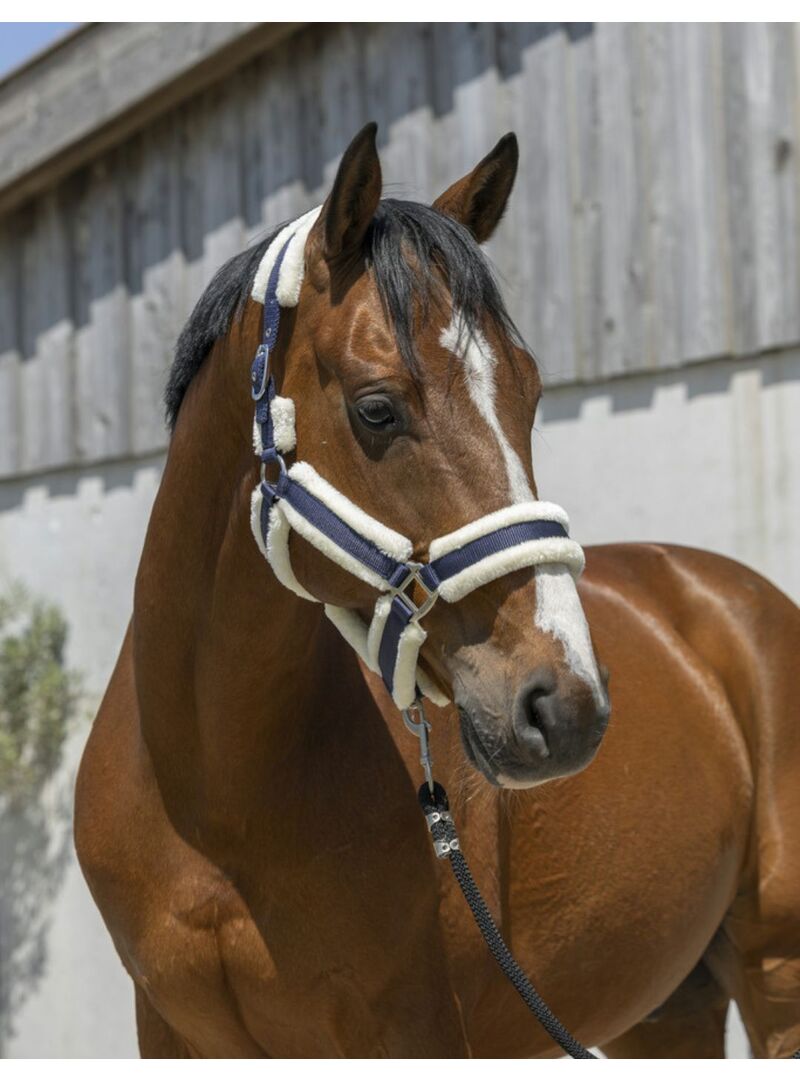 Cabezada de Cuadra Norton “Cosy” Negro