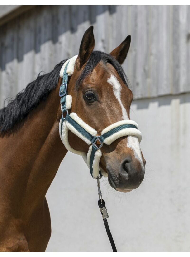 Cabezada de Cuadra Norton “Cosy” Negro