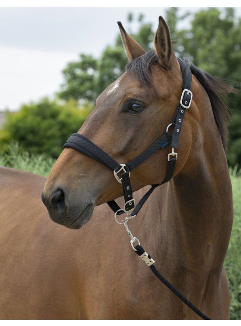 Cabezada de Cuadra + Ramal Norton “Large” Frambuesa
