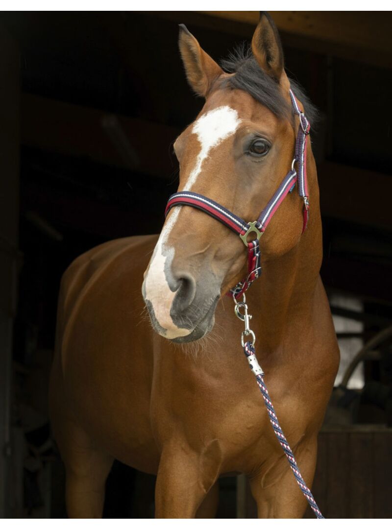 Cabezada + Ramal Norton “Brillant” Rojo/Marino/Plateado