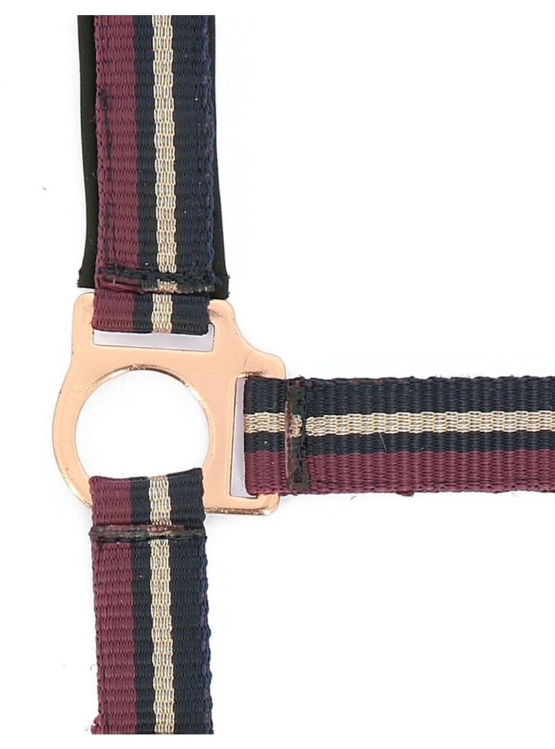 Cabezada + Ramal Norton “Brillant” Ciruela/Marino/Oro Rosa