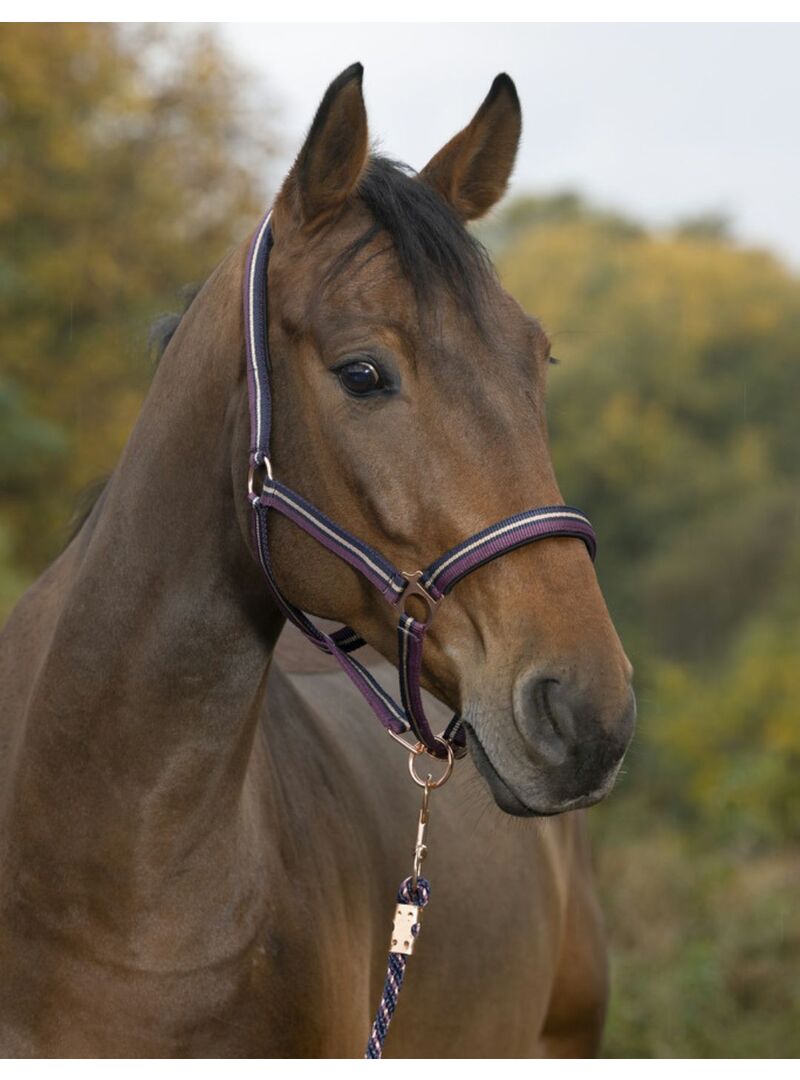 Cabezada + Ramal Norton “Brillant” Ciruela/Marino/Oro Rosa