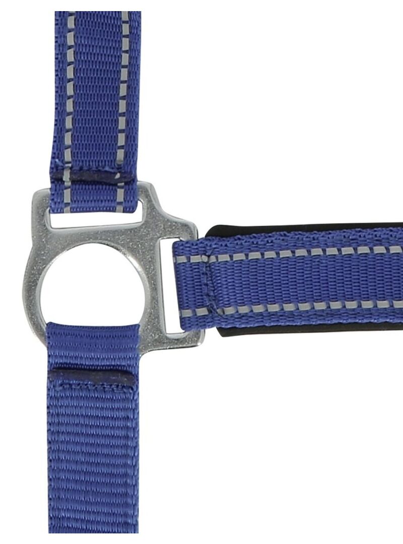 Cabezada de Cuadra Norton “Reflective” Azul