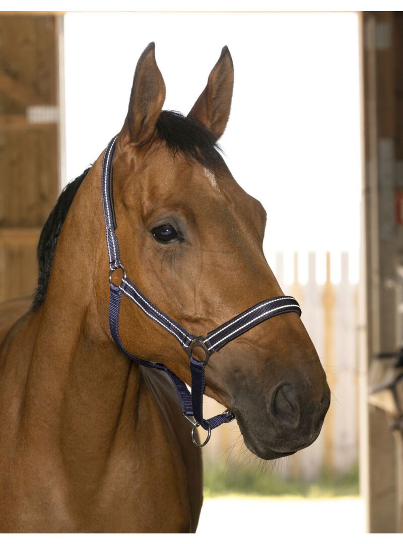Cabezada de Cuadra Norton “Reflective” Marino