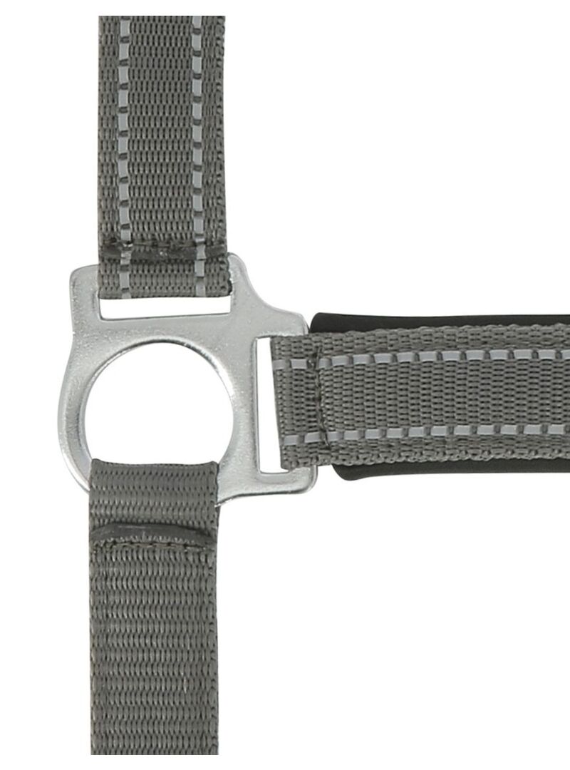 Cabezada de Cuadra Norton “Reflective” Gris