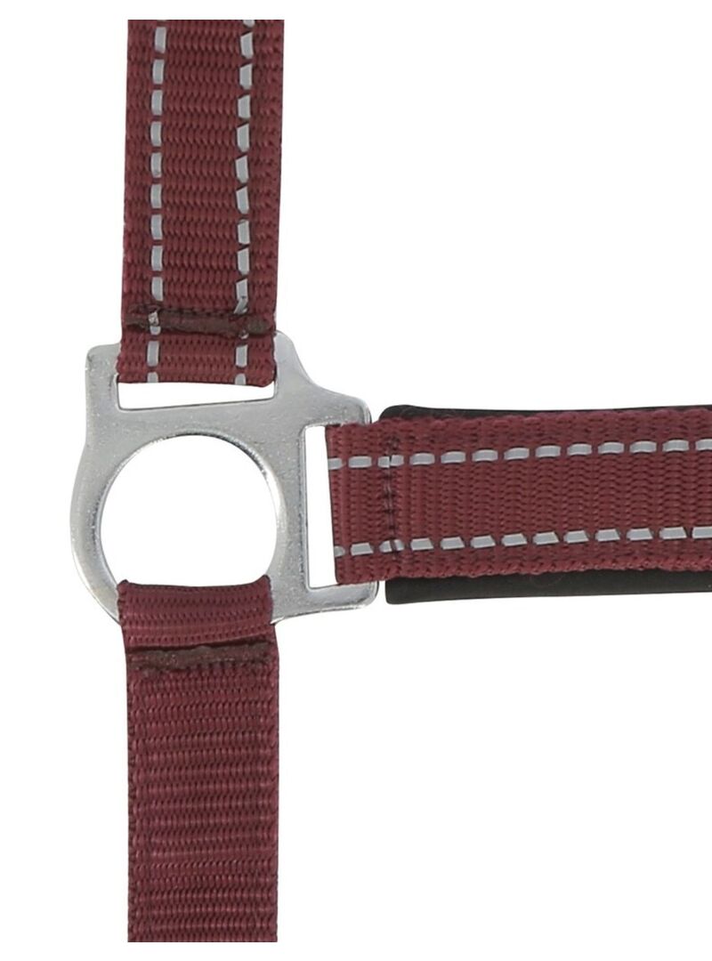 Cabezada de Cuadra Norton “Reflective” Burdeos