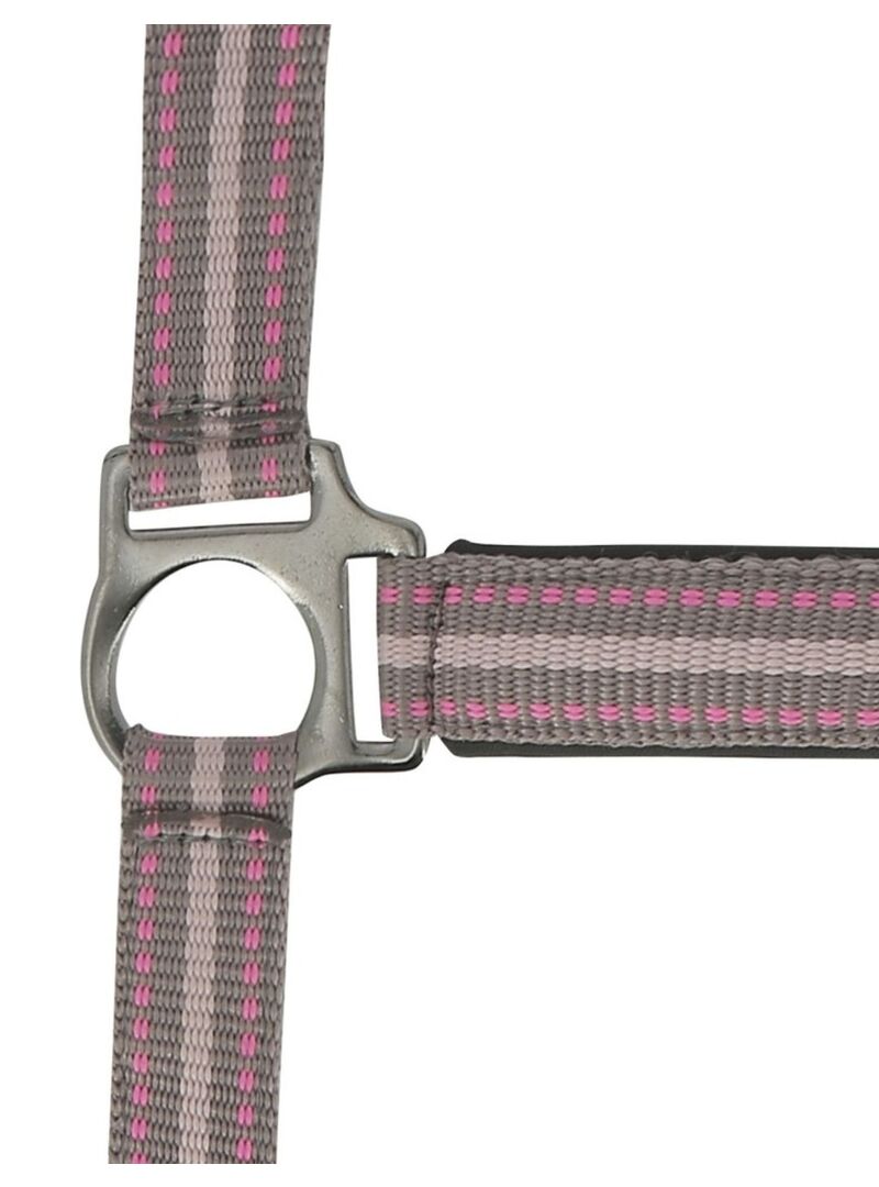 Cabezada de Cuadra Norton “Boucleire Noire” Rosa