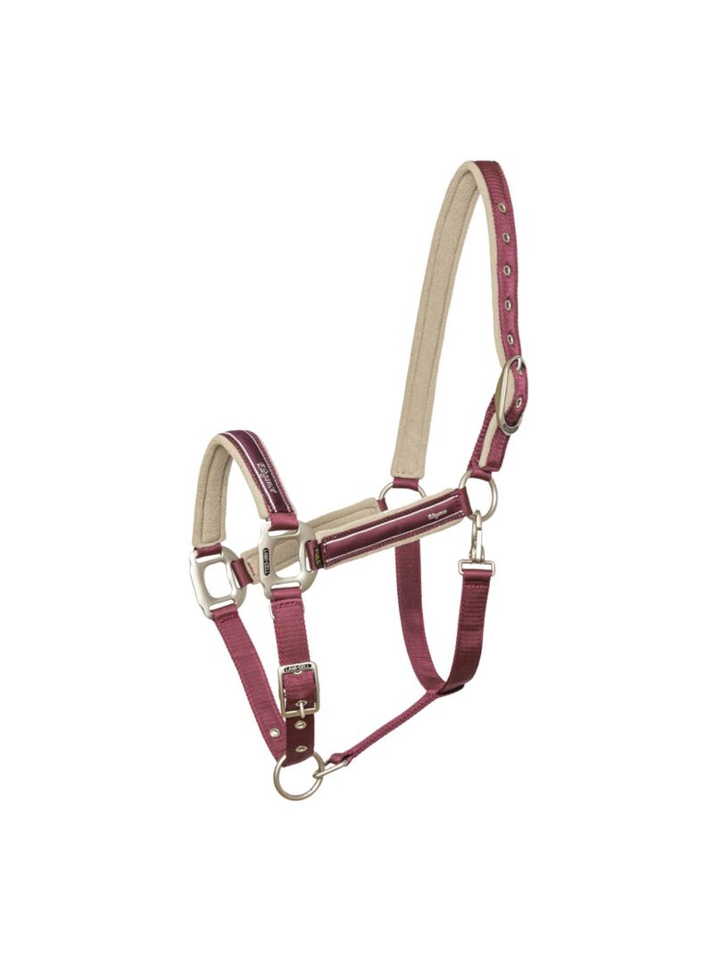 Cabezada de Cuadra + Ramal Lami-Cell “Élégance” Verde/Champán