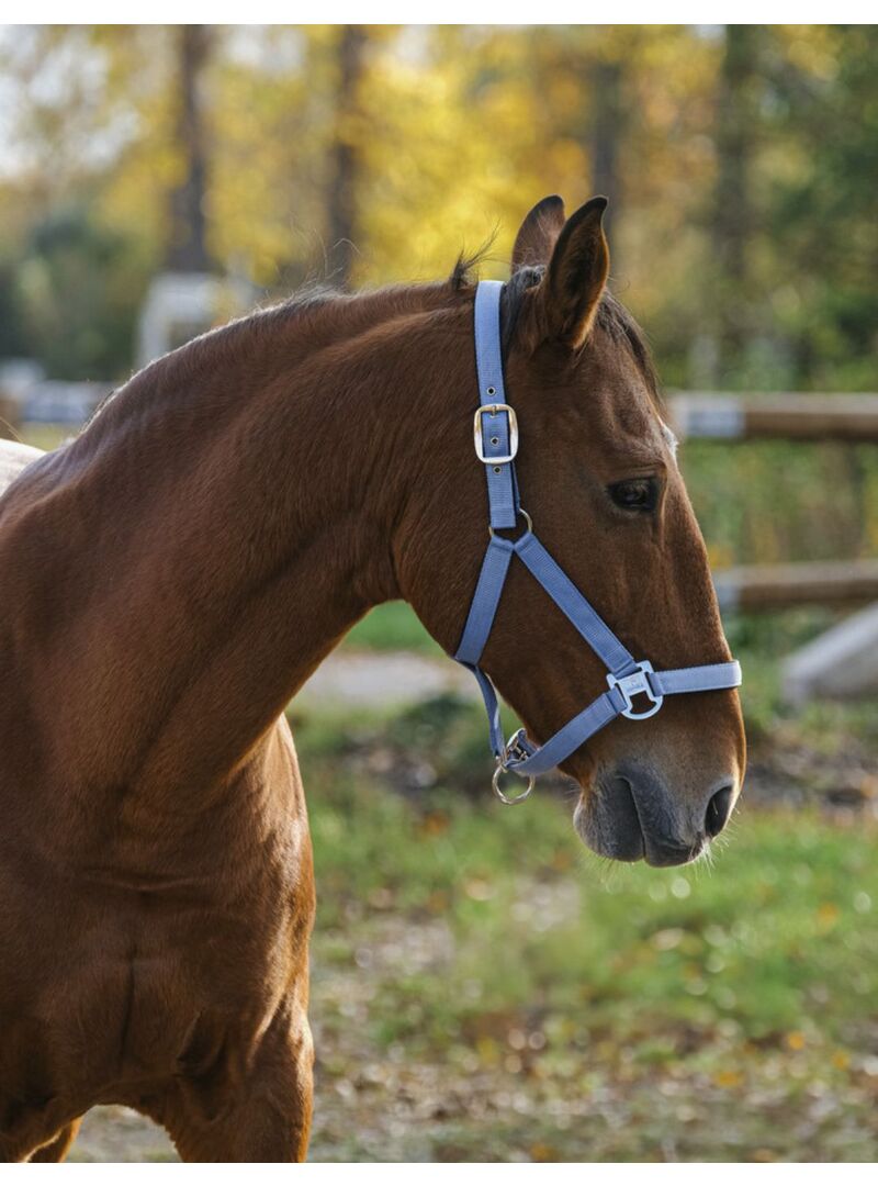 Cabezada de Nylon Equitheme “Spring” Rosa Pálido