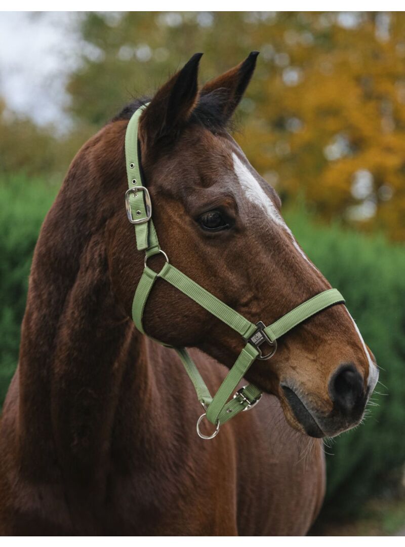 Cabezada de Nylon Equitheme “Spring” Azul