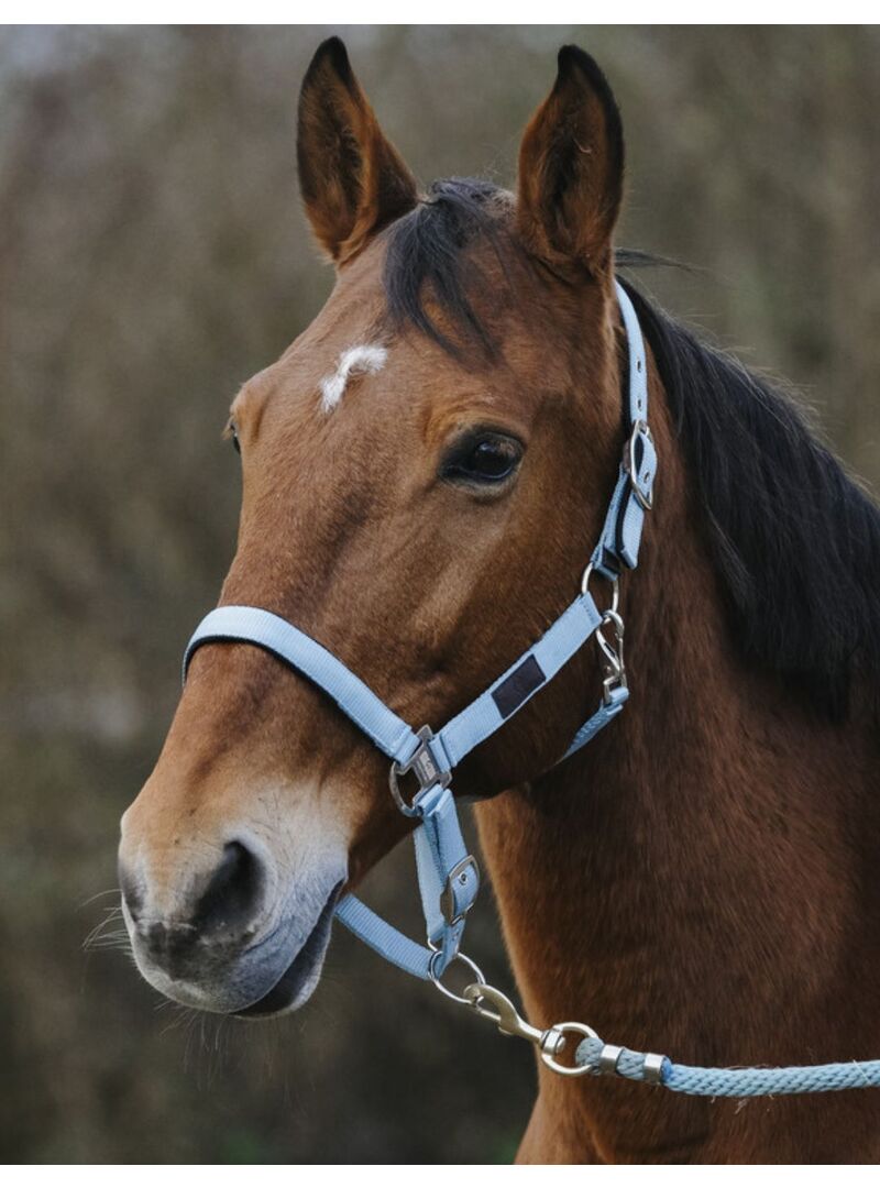 Cabezada de Nylon Equitheme “Spring” Azul