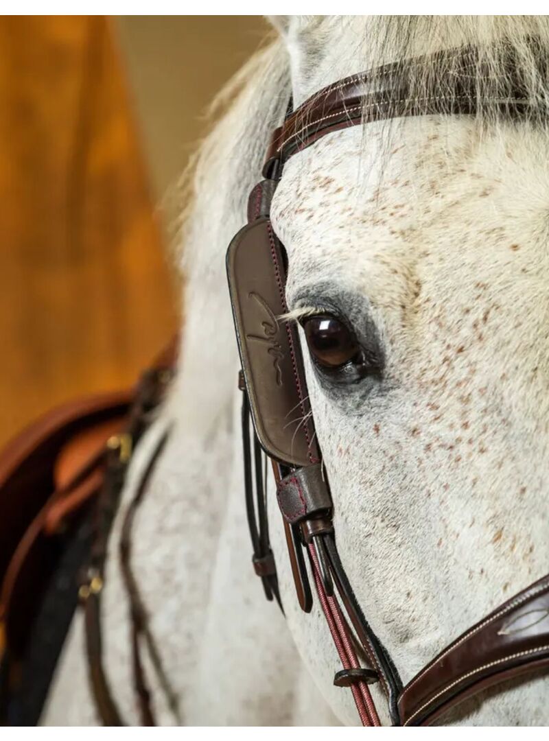 Anteojeras Dyon Marrón