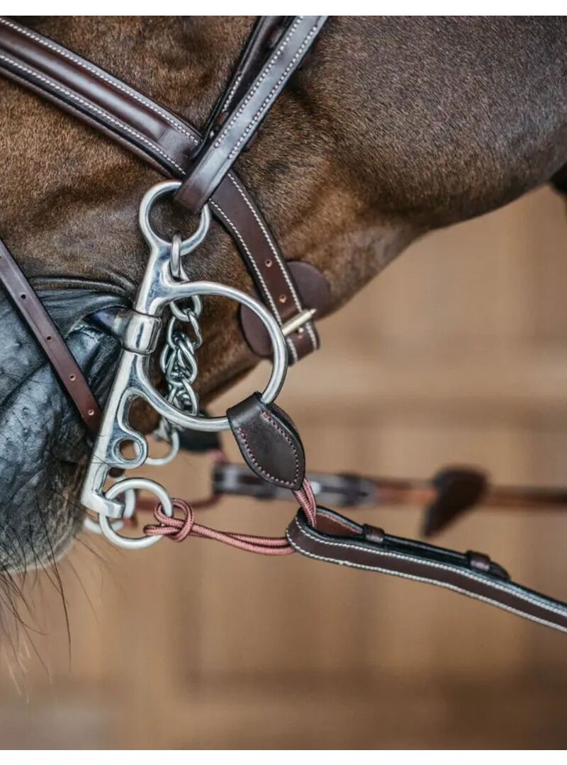 Puente Largo para Pelham Dyon Negro
