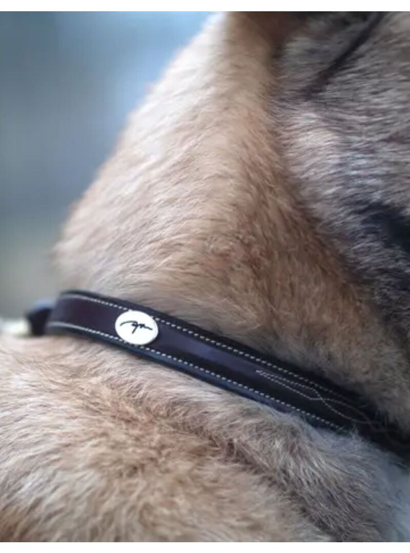 Collar de Perro Fancy Dyon Marrón