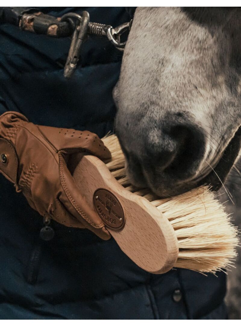 Cepillo Cactus para Crines Borstiq “Infini”