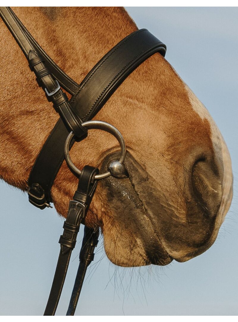 Cabezada de Montar Riding World Muserola Ancha Negro