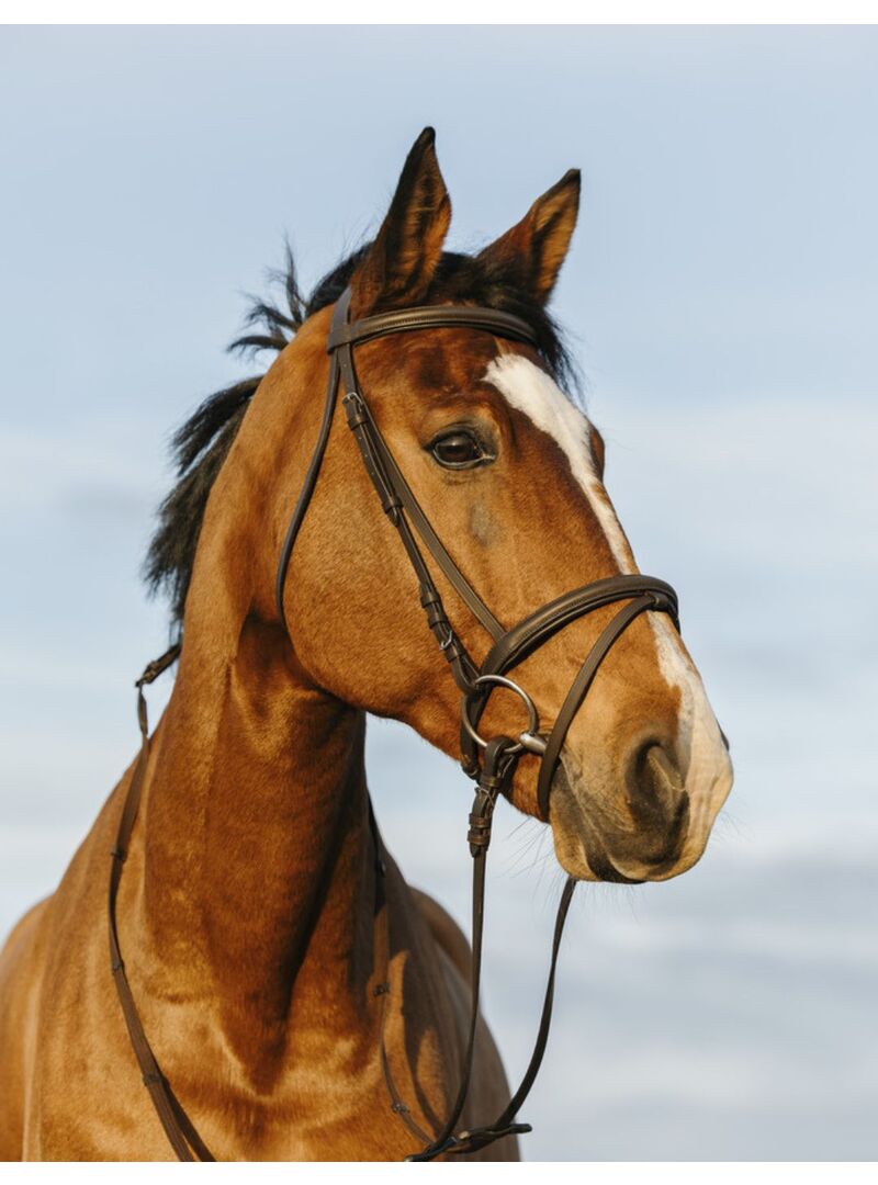 Cabezada Riding World Muserola Doble con Cierraboca Negro