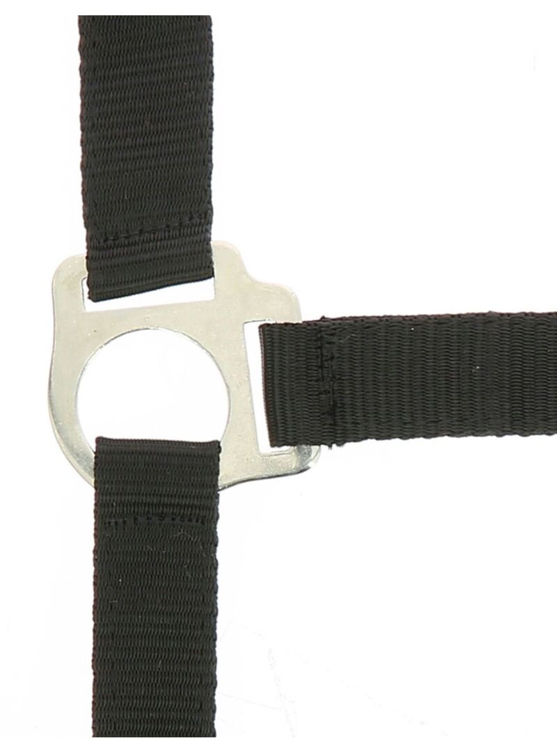 Cabezada de Cuadra + Ramal “Club” Riding World Azul Royal