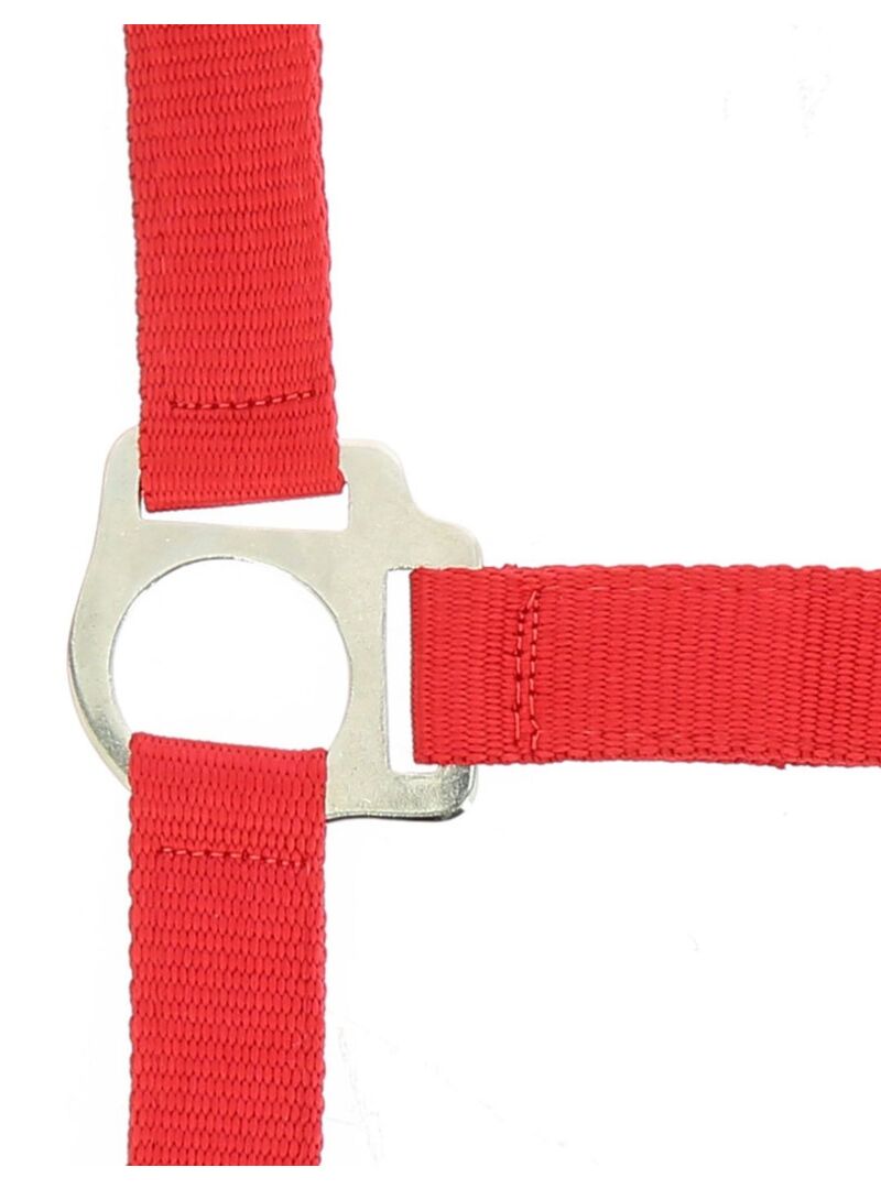 Cabezada de Cuadra + Ramal “Club” Riding World Negro