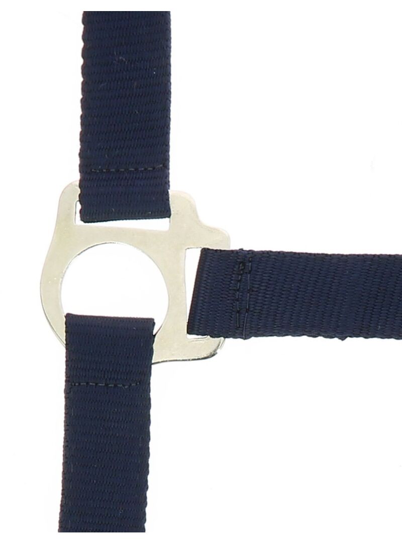 Cabezada de Cuadra + Ramal “Club” Riding World Negro