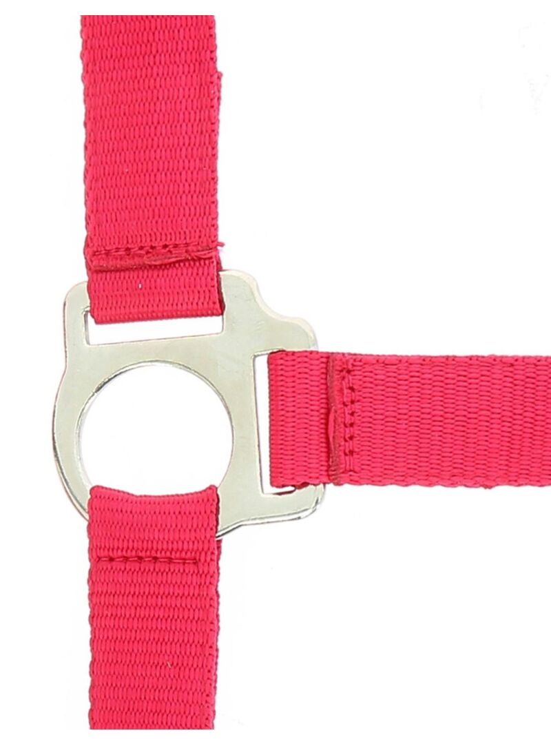 Cabezada de Cuadra + Ramal “Club” Riding World Negro