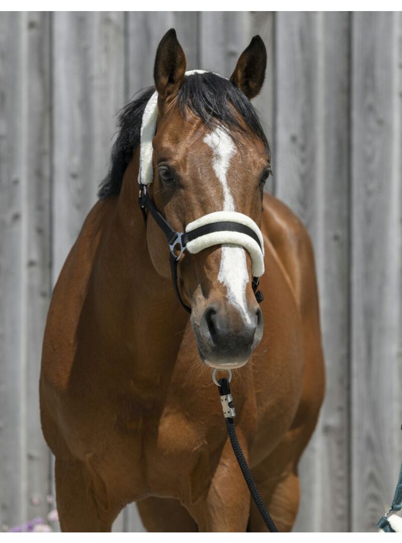 Cabezada de Cuadra Riding World de Borreguillo Sintético Azul Royal